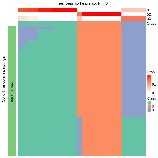 plot of chunk tab-node-0213-membership-heatmap-2