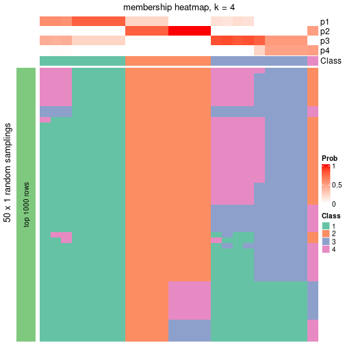 plot of chunk tab-node-0213-membership-heatmap-3