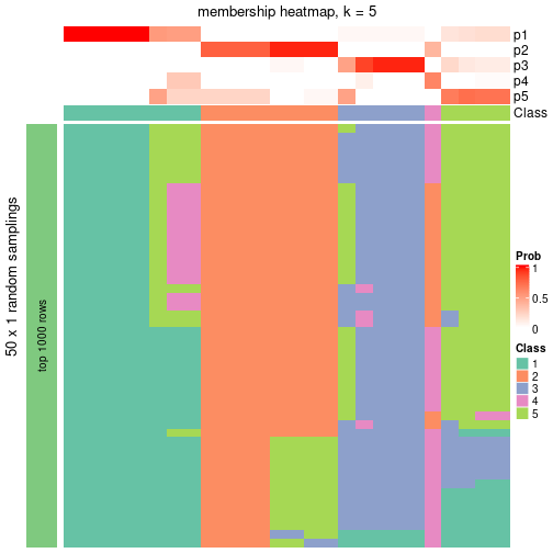 plot of chunk tab-node-0213-membership-heatmap-4