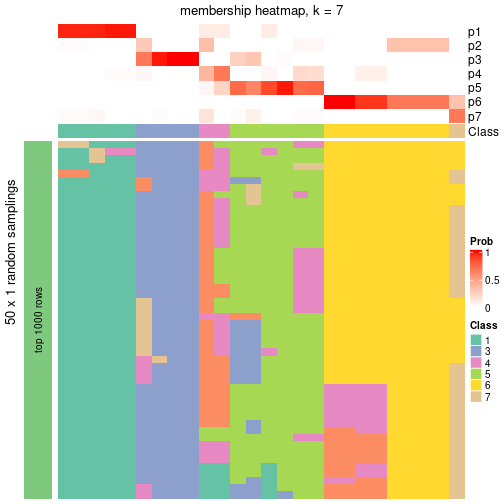 plot of chunk tab-node-0213-membership-heatmap-6