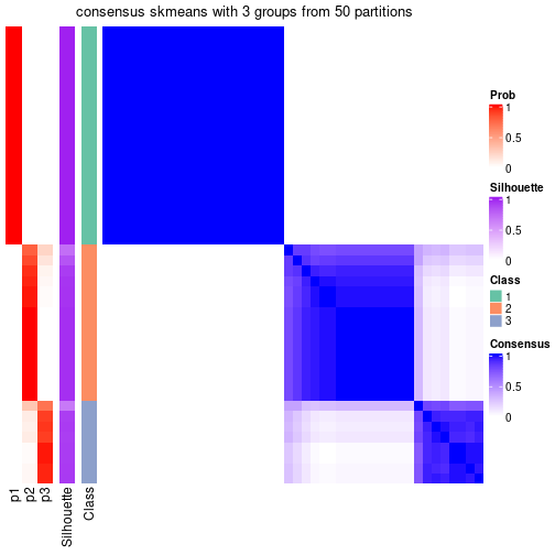 plot of chunk tab-node-022-consensus-heatmap-2