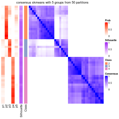 plot of chunk tab-node-022-consensus-heatmap-4