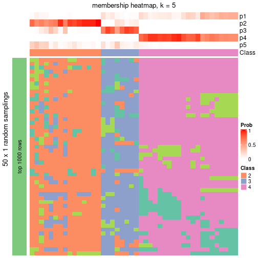 plot of chunk tab-node-022-membership-heatmap-4