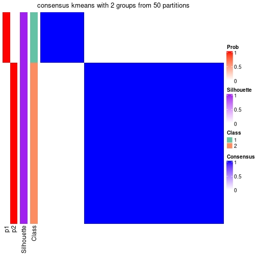 plot of chunk tab-node-0221-consensus-heatmap-1