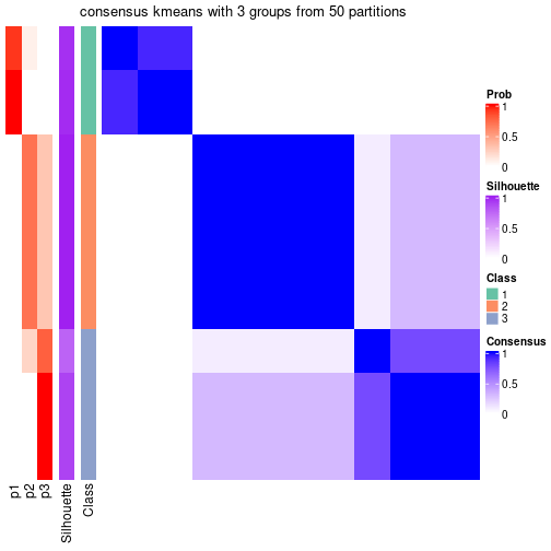 plot of chunk tab-node-0221-consensus-heatmap-2