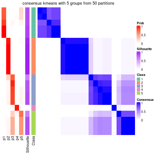 plot of chunk tab-node-0221-consensus-heatmap-4