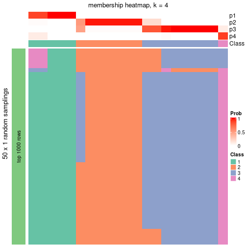 plot of chunk tab-node-0221-membership-heatmap-3