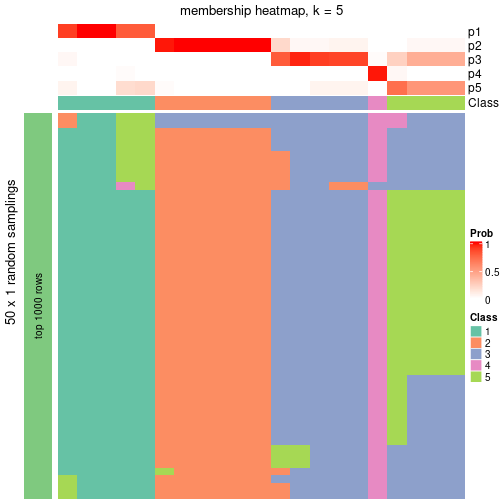 plot of chunk tab-node-0221-membership-heatmap-4