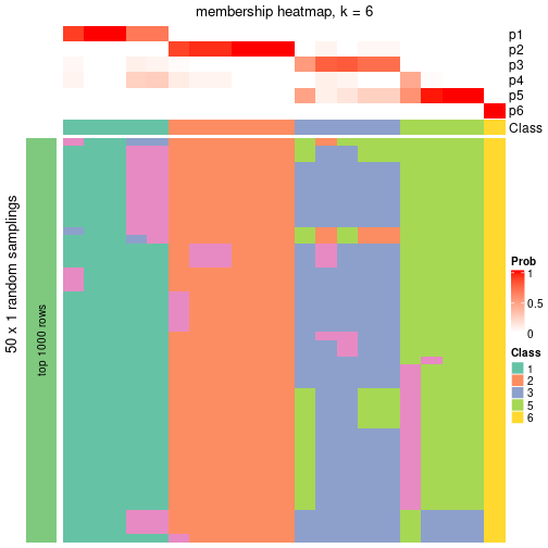 plot of chunk tab-node-0221-membership-heatmap-5