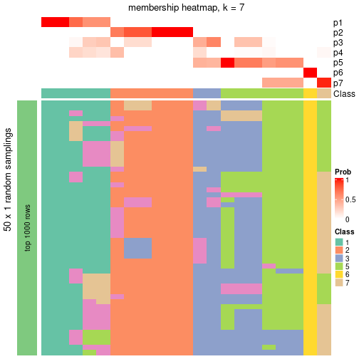 plot of chunk tab-node-0221-membership-heatmap-6