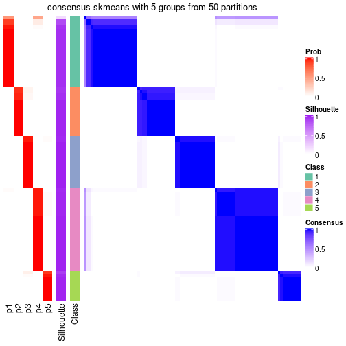 plot of chunk tab-node-023-consensus-heatmap-4