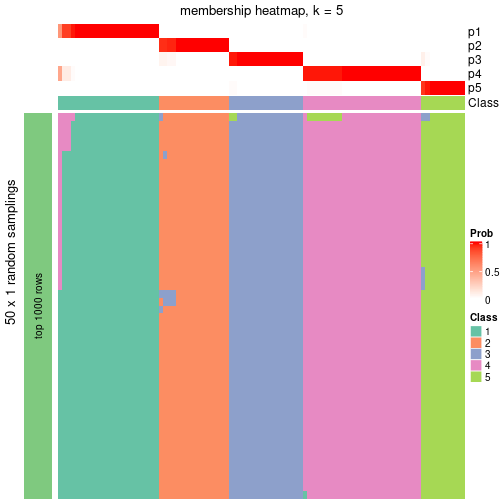 plot of chunk tab-node-023-membership-heatmap-4