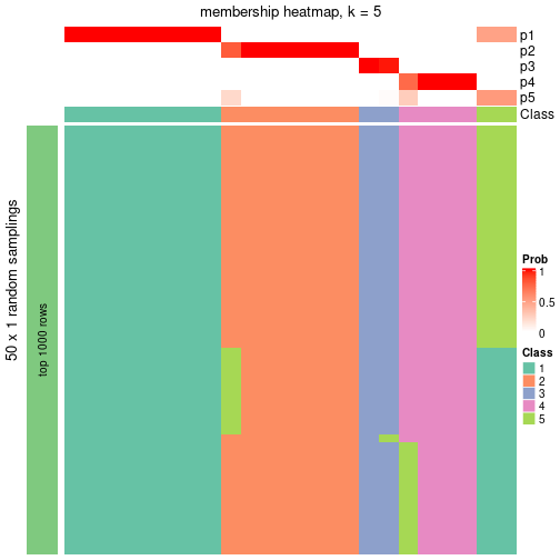 plot of chunk tab-node-0231-membership-heatmap-4