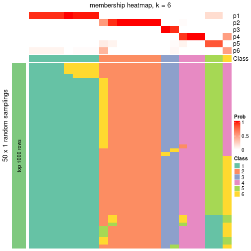 plot of chunk tab-node-0231-membership-heatmap-5