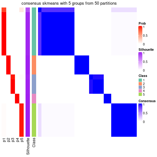 plot of chunk tab-node-0234-consensus-heatmap-4