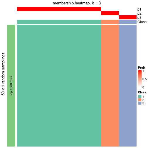 plot of chunk tab-node-0234-membership-heatmap-2