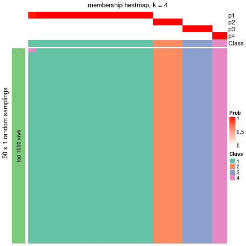 plot of chunk tab-node-0234-membership-heatmap-3