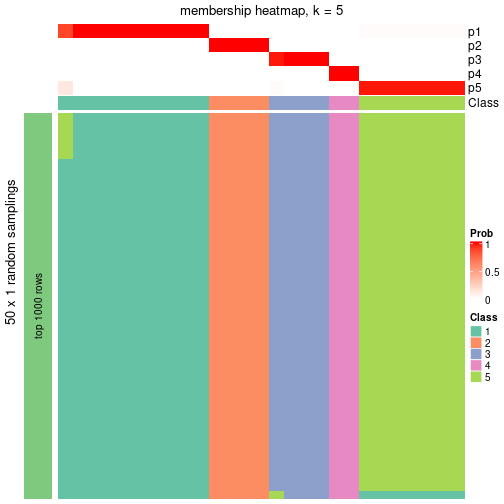 plot of chunk tab-node-0234-membership-heatmap-4