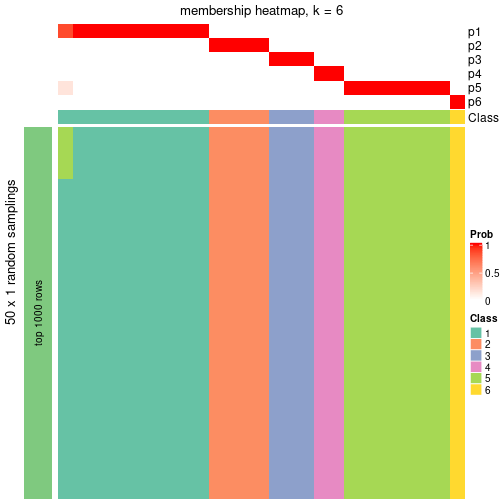 plot of chunk tab-node-0234-membership-heatmap-5