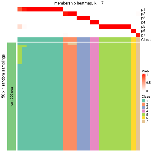 plot of chunk tab-node-0234-membership-heatmap-6