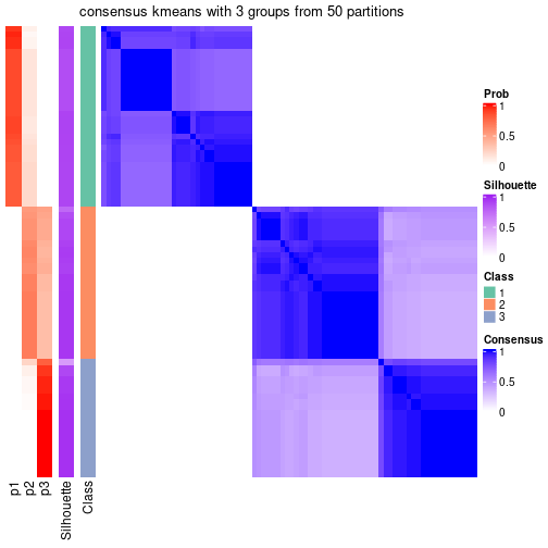 plot of chunk tab-node-024-consensus-heatmap-2