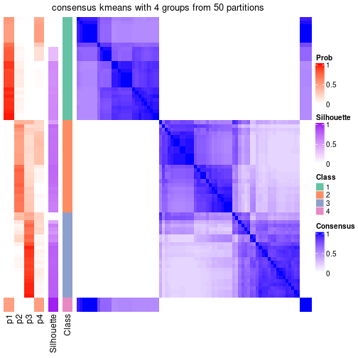 plot of chunk tab-node-024-consensus-heatmap-3