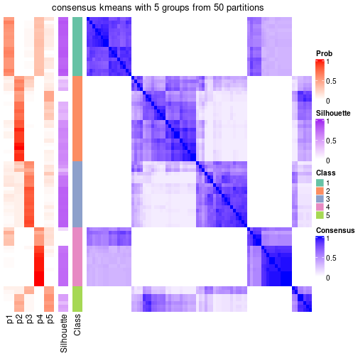 plot of chunk tab-node-024-consensus-heatmap-4