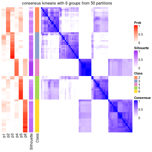 plot of chunk tab-node-024-consensus-heatmap-5