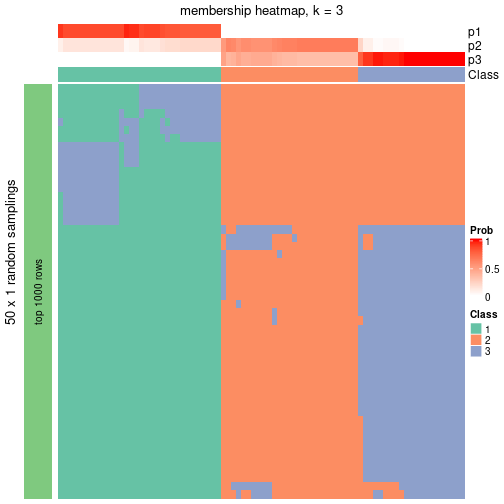 plot of chunk tab-node-024-membership-heatmap-2