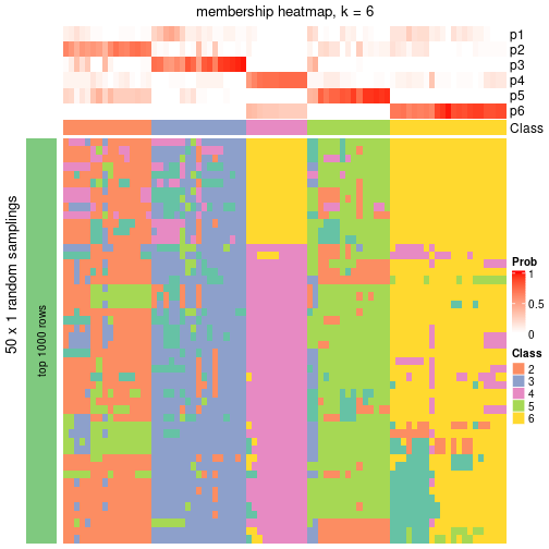 plot of chunk tab-node-024-membership-heatmap-5