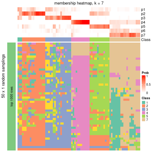 plot of chunk tab-node-024-membership-heatmap-6