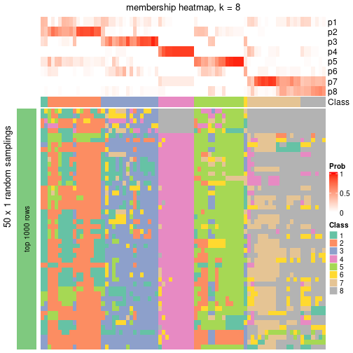 plot of chunk tab-node-024-membership-heatmap-7