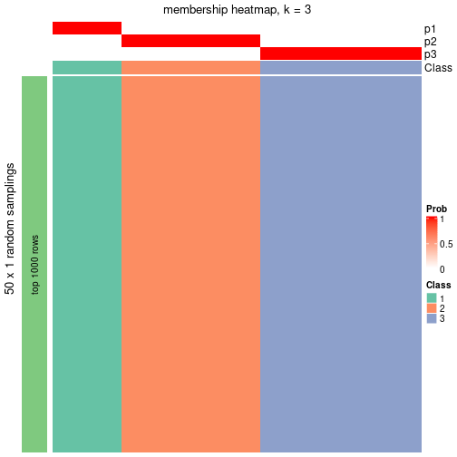 plot of chunk tab-node-0242-membership-heatmap-2