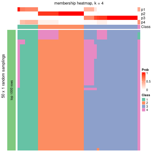 plot of chunk tab-node-0242-membership-heatmap-3