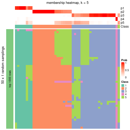 plot of chunk tab-node-0242-membership-heatmap-4