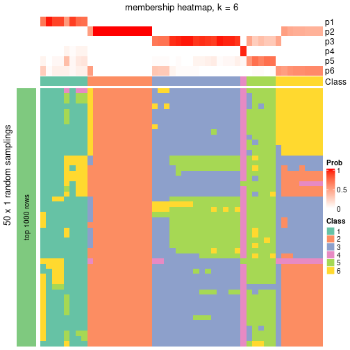 plot of chunk tab-node-0242-membership-heatmap-5