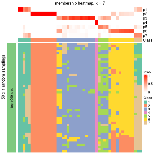 plot of chunk tab-node-0242-membership-heatmap-6