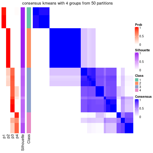 plot of chunk tab-node-03-consensus-heatmap-3