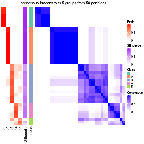 plot of chunk tab-node-03-consensus-heatmap-4