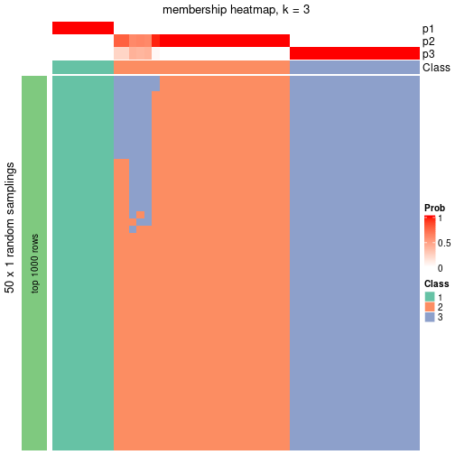 plot of chunk tab-node-03-membership-heatmap-2