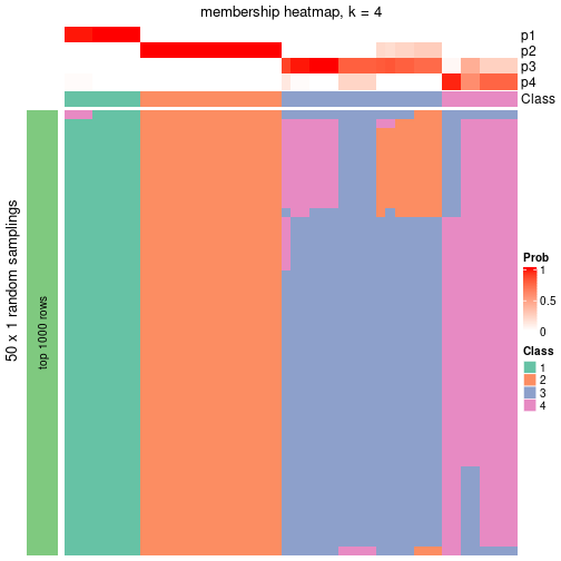 plot of chunk tab-node-03-membership-heatmap-3