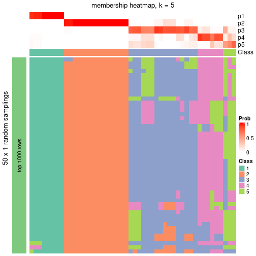 plot of chunk tab-node-03-membership-heatmap-4