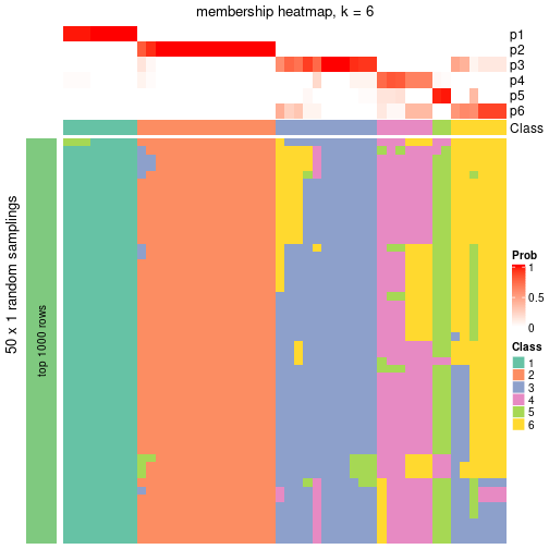 plot of chunk tab-node-03-membership-heatmap-5