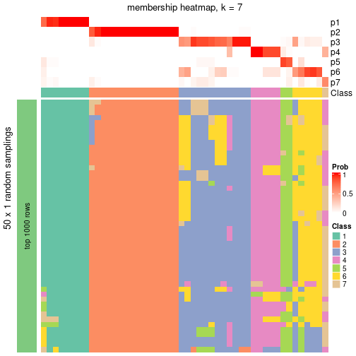 plot of chunk tab-node-03-membership-heatmap-6