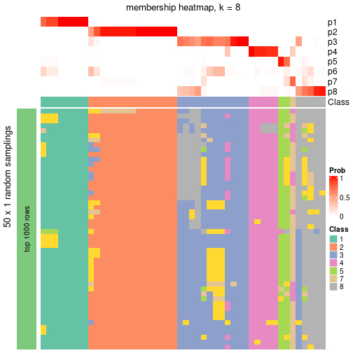 plot of chunk tab-node-03-membership-heatmap-7