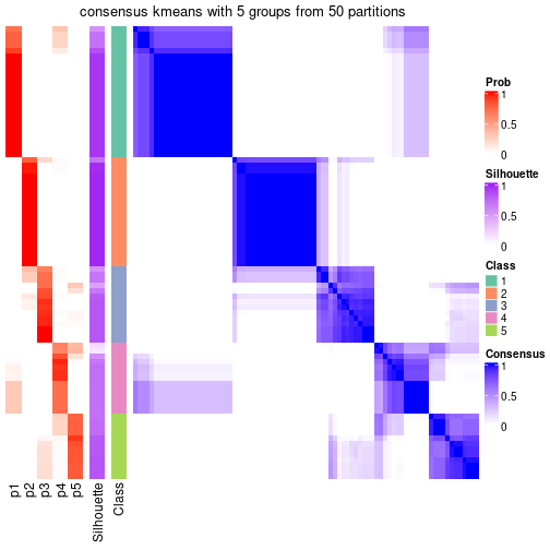 plot of chunk tab-node-04-consensus-heatmap-4