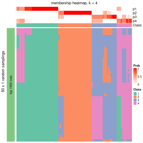 plot of chunk tab-node-04-membership-heatmap-3