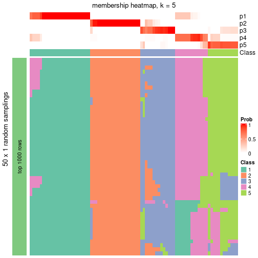 plot of chunk tab-node-04-membership-heatmap-4