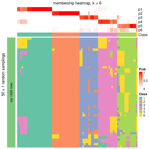 plot of chunk tab-node-04-membership-heatmap-5