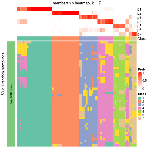 plot of chunk tab-node-04-membership-heatmap-6